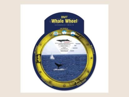 A round die-cut wheel framed like a ship’s porthole, showing a whale tail in the ocean